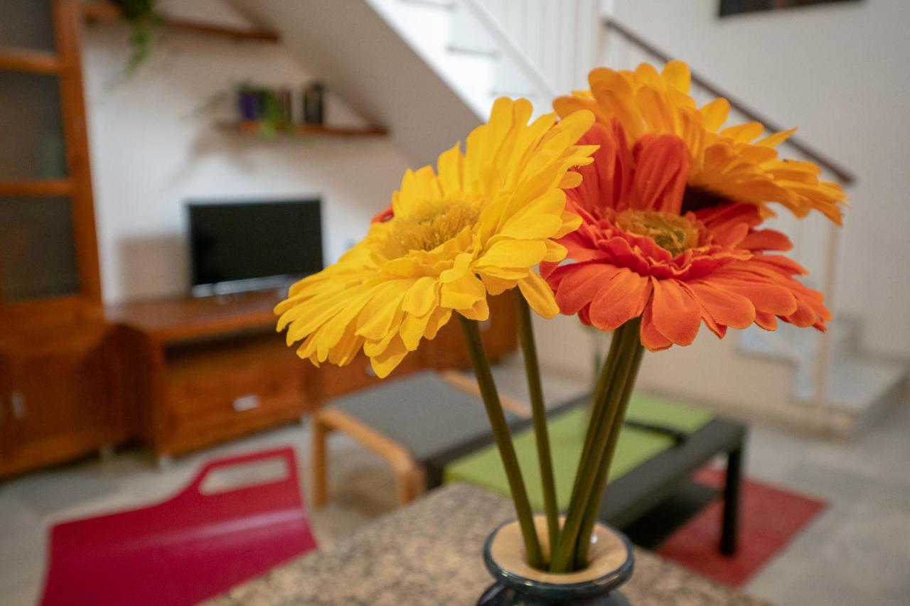 Apartament Duplex La Corrala Kadyks Zewnętrze zdjęcie